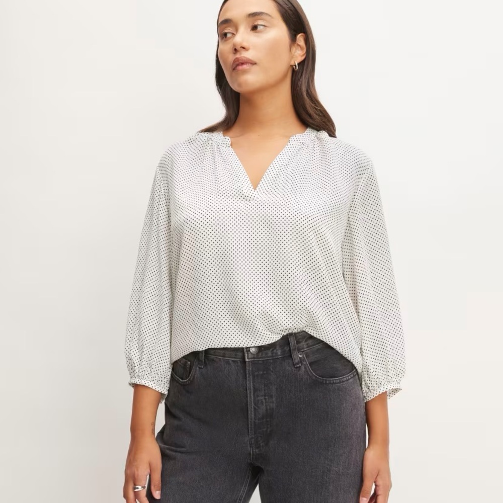 Everlane The Washable Clean Silk V-Neck Top size 8